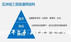 揭秘TPWallet平台币：未来数